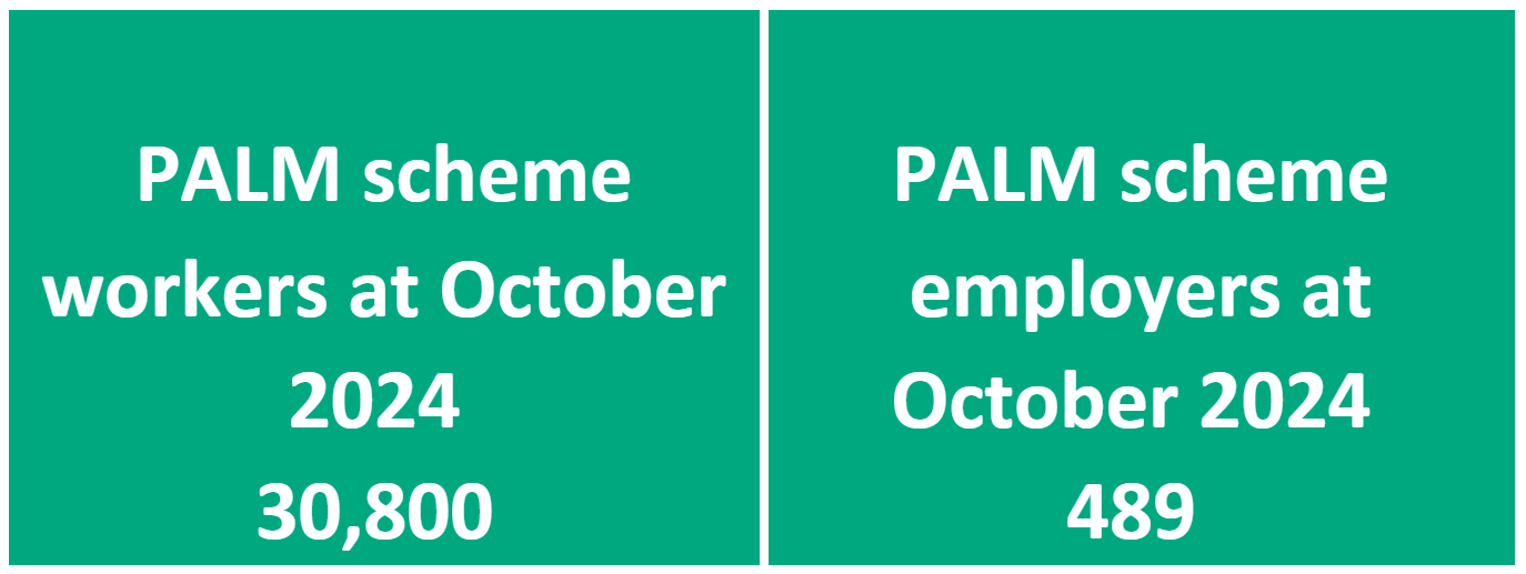 PALM scheme employer and worker data at October 2024