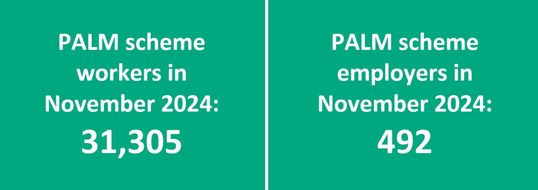 PALM scheme worker and employer data at November 2024