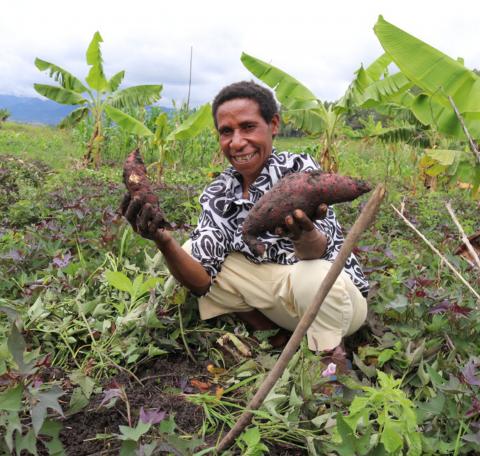 Rosa from Mount Hagen in Papua New Guinea harvests vegetables, crouching close to the ground and smiling at the camera