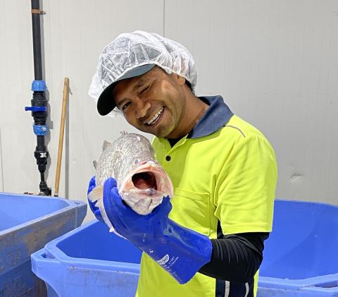 A worker in a cap and high-visibility shirt holds a large fish up to the camera and smiles.