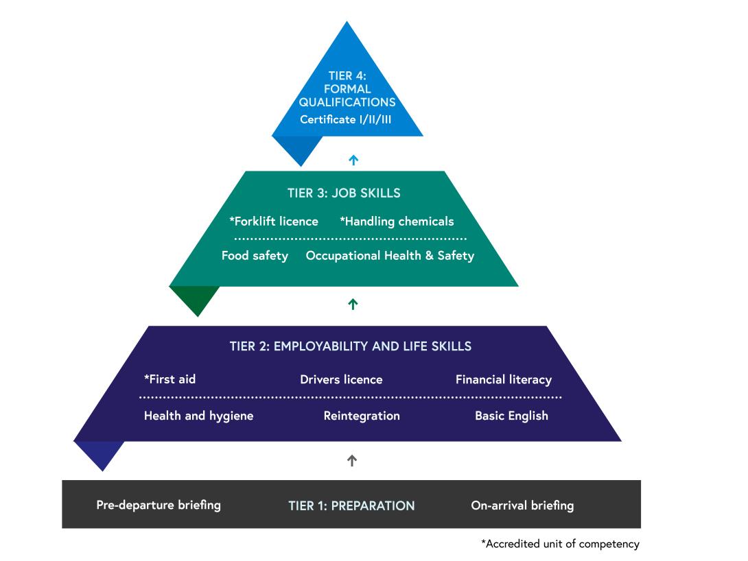 Skills development pyramid standalone